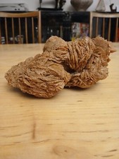 Pierre Rose Des Sables Sahara