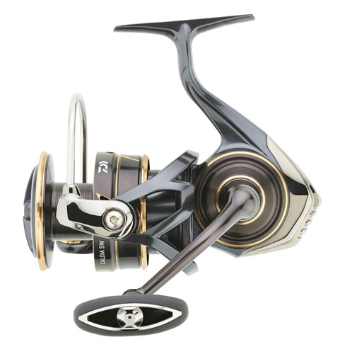 Daiwa caldia 2023 - caldia, sw