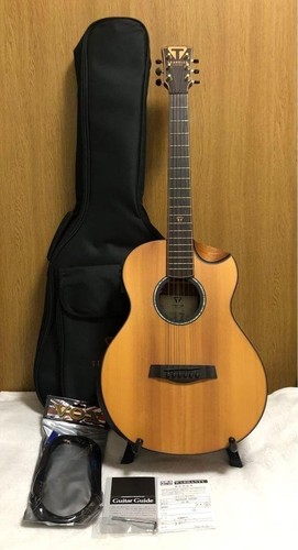 Guitare électrique acoustique