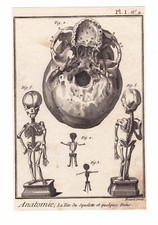 Gravure XVIIIe Squelette