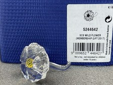 Figurine Swarovski 5244642 SCS