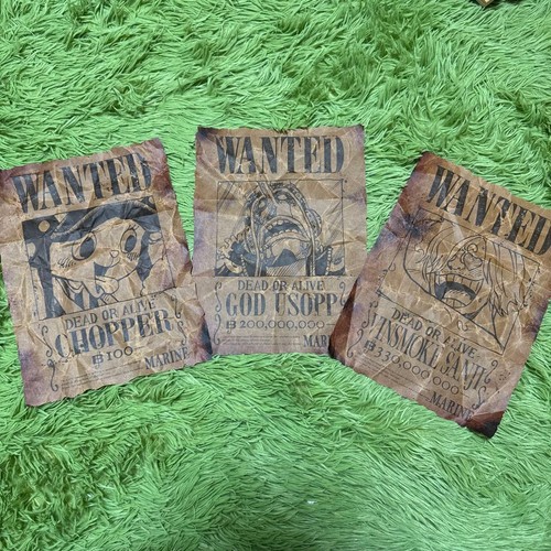 One piece wanted poster - one,