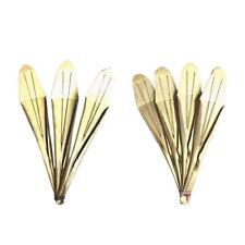 Guimbarde de nationalité Yi