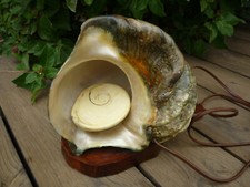 Lampe Tahiti Coquillage Turbo
