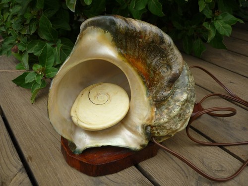 Lampe tahiti coquillage - lampe,