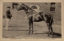 CPA ORNE 61 LE HARAS DU PIN MYSARCH PUR SANG. ANGLAIS