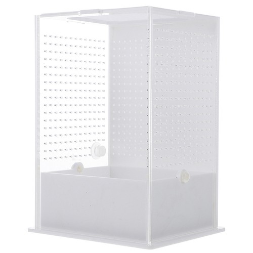 Boîte nourrissage pour - , de