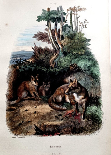Gravure ancienne couleur