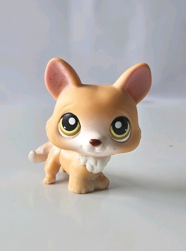 Littlest pet shop - shop, corgi