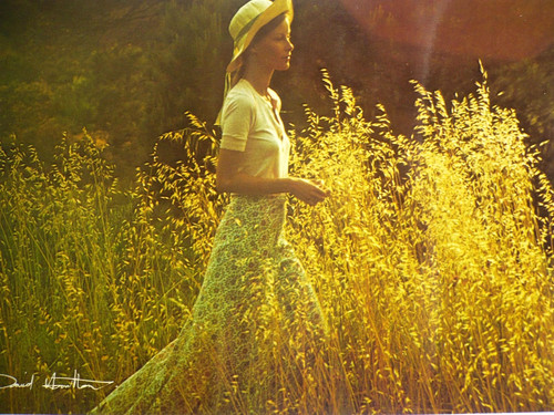 Carte postale david - postale,