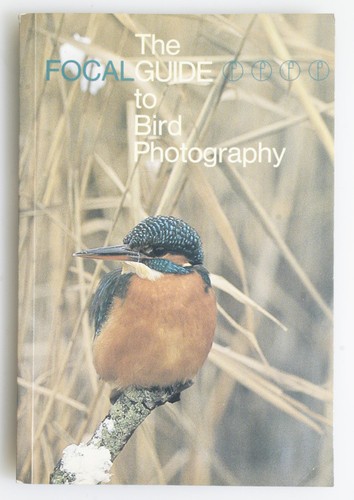 The focal guide bird - the,