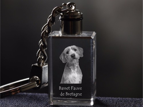 Basset fauve bretagne - basset,
