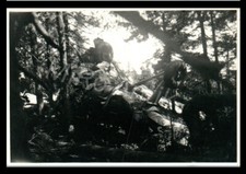 Photo, WW2, après Uffz. Burdorf 1./SKG 10, accident dans la forêt de l'aérodr...