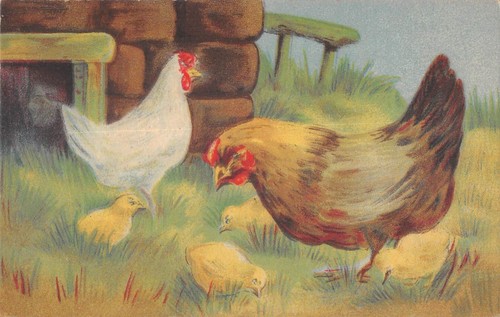 Postcard fantasy birds - postcard,