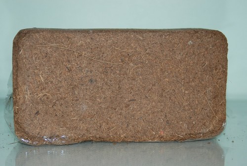 Vivarium tropical terrain - vivarium,
