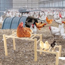 Perchoir pour poulailler intérieur, plateforme décorative en bois, échelle