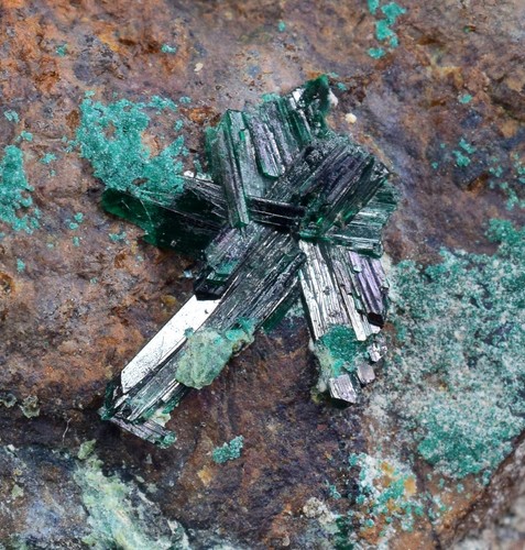 1cms atacamite crystals - atacamite,
