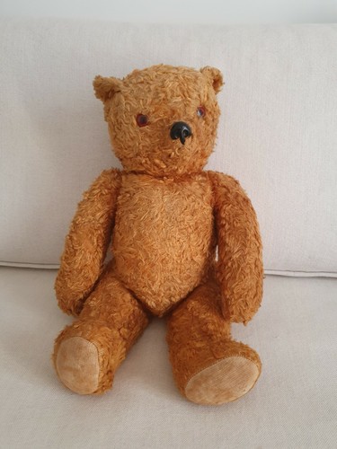 Magnifique rare ours - et,