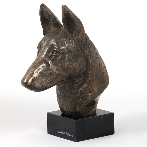 Malinois chien berger - de, belge