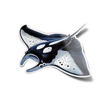 PACK AUTOCOLLANTS STICKERS