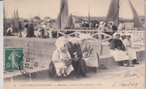 Postcard carte postale - 🦬postcard/carte,