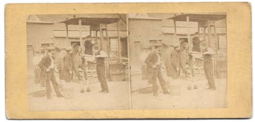 Photo stereo cheval - photo,