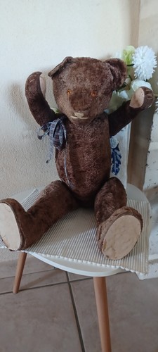Gros ours marceau chocolat - gros,