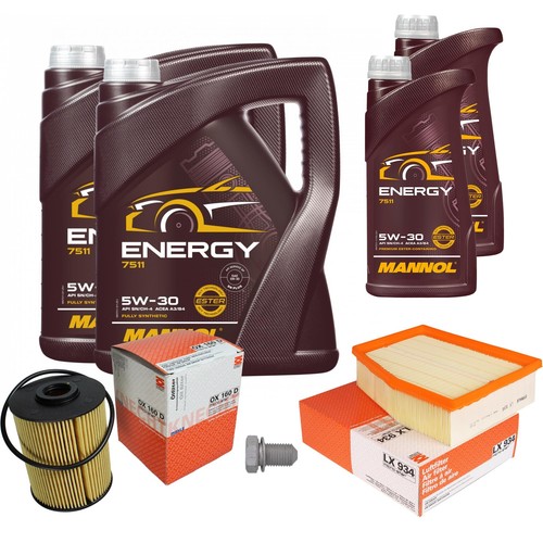 Inspection set 12l energy - inspection,