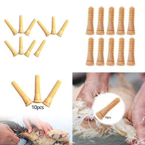 Pièces doigts déplumeuse - 10,