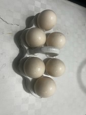 Ancien présentoir à œufs en