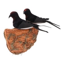 1 Jeu Nid D'hirondelle Simulé