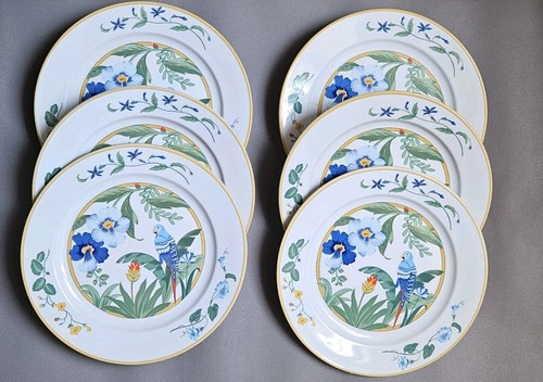 Grandes assiettes ara pier - 6,