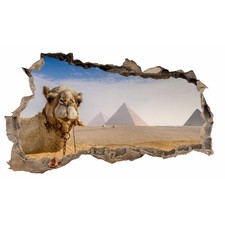 WL45 Autocollant Mural Trou De