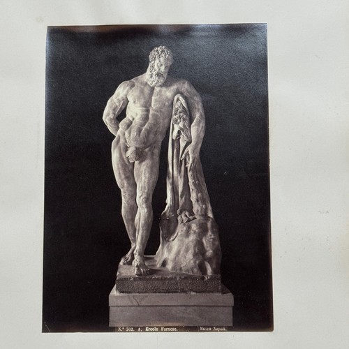 Photo albumine contrecollée