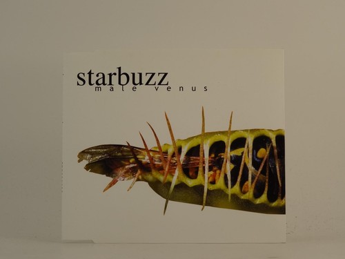 Starbuzz male venus - male,