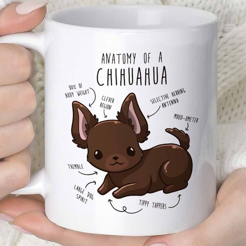 Funny anatomy chihuahua - a,