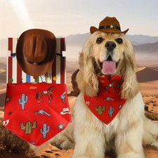 Chapeau de Cowboy pour Chien