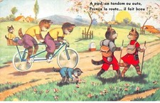 Chats - n°72362 - A pied, en tandem ou auto, Prenez la route ... il fait beau