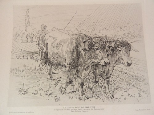 Gravure ancienne xix - gravure,