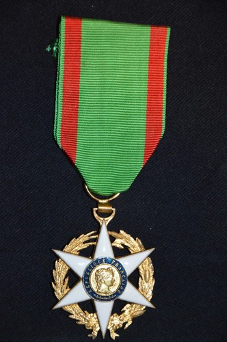 Medaille etoile chevalier - etoile,