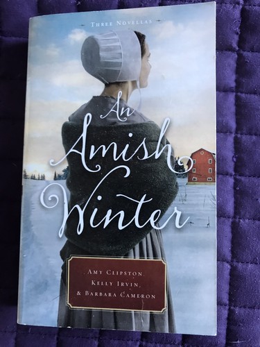 Amish winter home sweet - home,