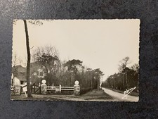 Carte postale ancienne Collection STELLA PLAGE Le Bois Lurette En Forêt France