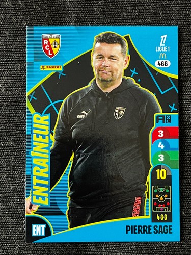 Card panini adrenalyn ligue - adrenalyn,
