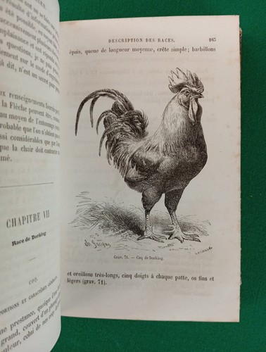 Poulailler monographie des - poulailler,,