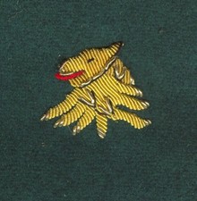 Superbe tête de lion  brodée cannetille or  sur fond drap vert  - non identifié