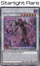Yu-Gi-Oh! Sorcière de la Rose Rageuse : STAR DOOD-FR040