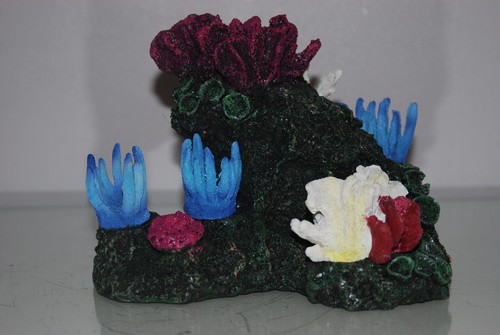 Aquarium récif corail - récif, &