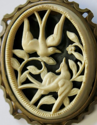Hirondelle broche - hirondelle,,