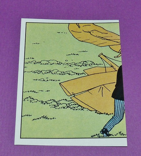 Panini tintin herge - panini,