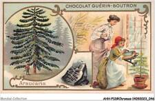 AHHP12-2225 - CHROMOS - CHOCOLAT-GUERIN-BOUTRON - PARIS - araucaria - 10,5
